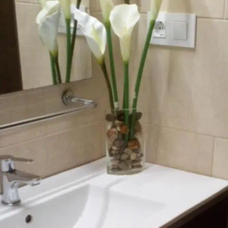 Apto Patio Andaluz. Maximo Confort Y Limpieza