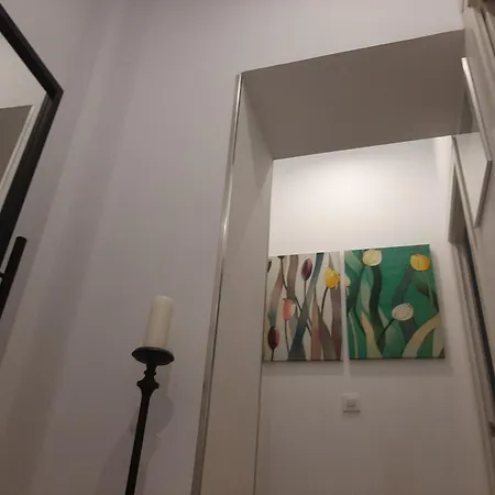 Apto Patio Andaluz. Maximo Confort Y Limpieza *