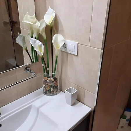 Apto Patio Andaluz. Maximo Confort Y Limpieza