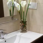 Apto Patio Andaluz. Maximo Confort Y Limpieza