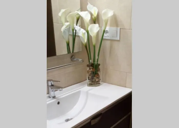 Apto Patio Andaluz. Maximo Confort Y Limpieza * Cádiz