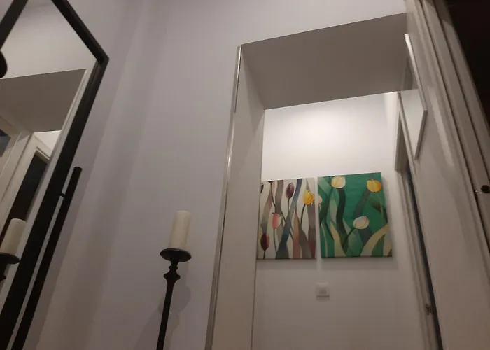 Apto Patio Andaluz. Maximo Confort Y Limpieza *